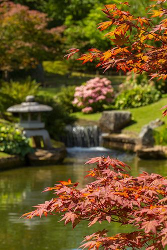 Japanse tuin in herfstsfeer