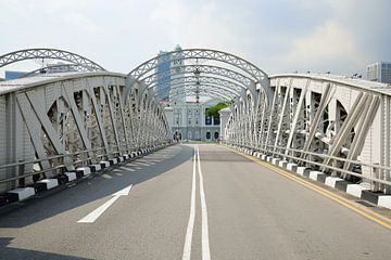 Anderson Bridge van Frank's Awesome Travels