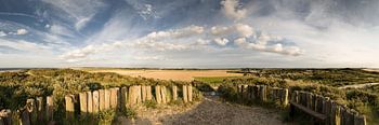 Panorama (3:1) vom Hoge Duin zwischen Cadzand und Nieuwvliet