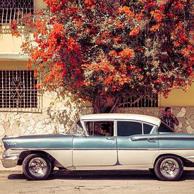 Chevrolet Bel Air 1958, under the bougainvillea. by Jan de Vries