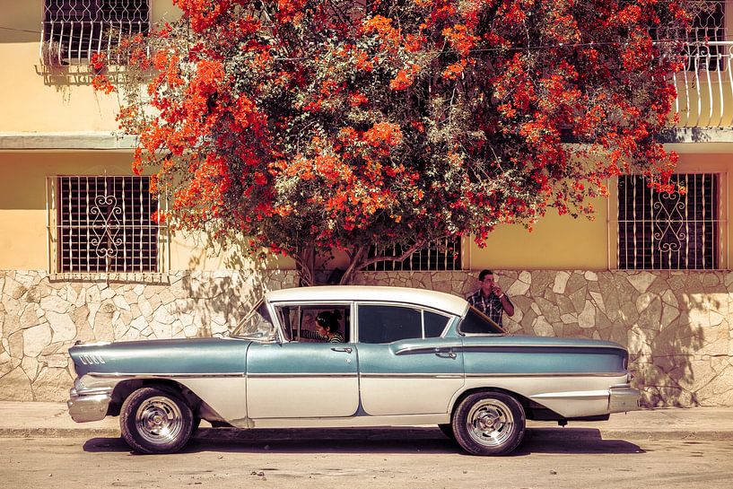 Chevrolet Bel Air 1958, unter der Bougainvillea. von Jan de Vries