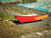 Little Orange Boat by Dorothy Berry-Lound thumbnail