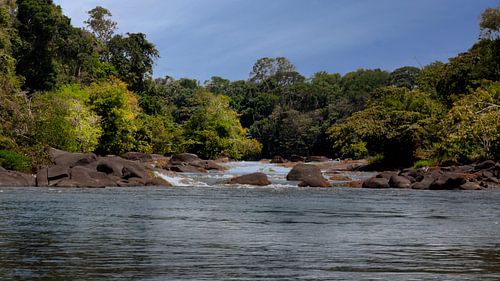 Het eiland Awarradam in Suriname