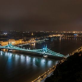 Freedom bridge in budapest hungary van Elspeth Jong