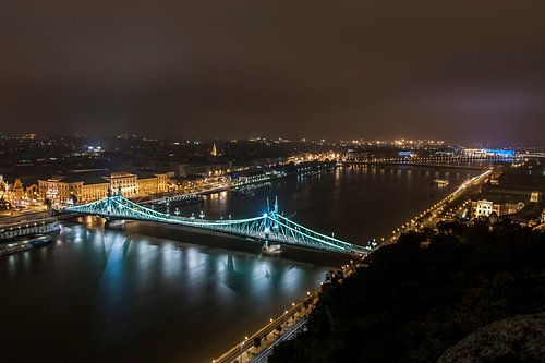 Freedom bridge in budapest hungary van Elspeth Jong