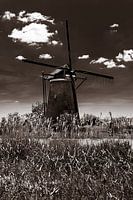 Molen in Kinderdijk zwart-wit