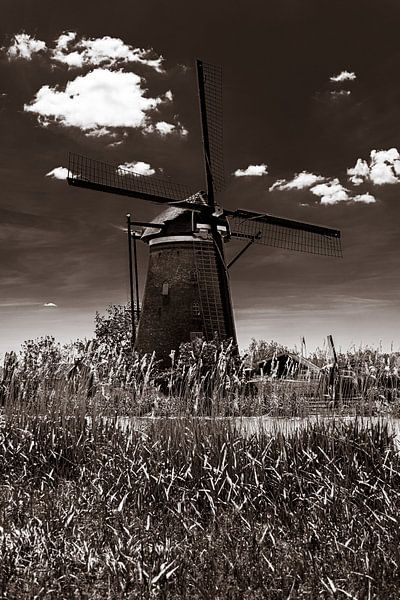 Windmuhle in Kinderdijk schwarz-weiß von Carin IJpelaar