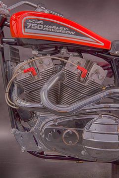 Harley-Davidson XR-750 van Michelle Peeters