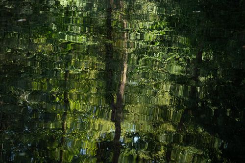 L'art nartural sur Eleida-Fotografie