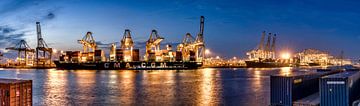Schepen lossen in de haven van Rotterdam - Amazonehaven van Rene Siebring