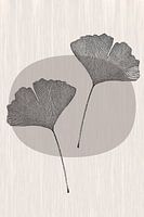 Japandi, Ginkgo Biloba blad