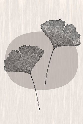 Japandi, Ginkgo Biloba blad