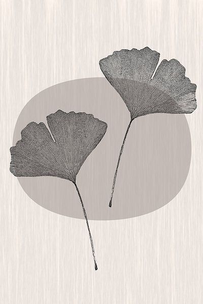 Japandi, Ginkgo Biloba Blatt von Caroline Drijber