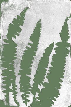 Ferns  in retro style. Modern botanical minimalist art in white and green by Dina Dankers