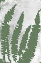 Ferns  in retro style. Modern botanical minimalist art in white and green by Dina Dankers thumbnail