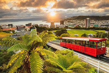 Uitzicht over Wellington bij zonsopgang, Nieuw-Zeeland van Markus Lange