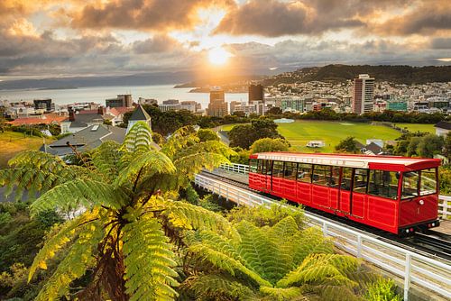 View over Wellington at sunrise, New Zealand