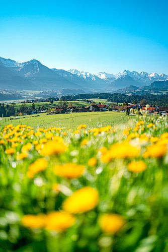 Voorjaarsuitzicht op de Allgäu