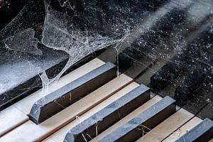 Verlassener Flügel - Spinnweben auf der Tastatur