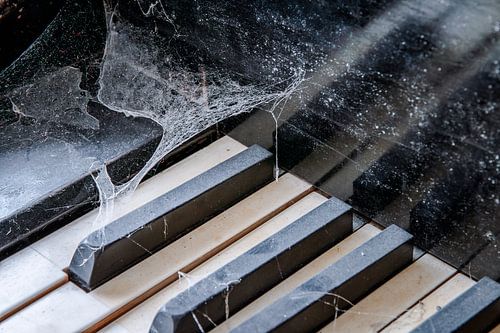 Verlaten vleugel - spinnenwebben op het toetsenbord