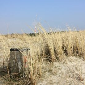 The Dunes by Wim Riksen