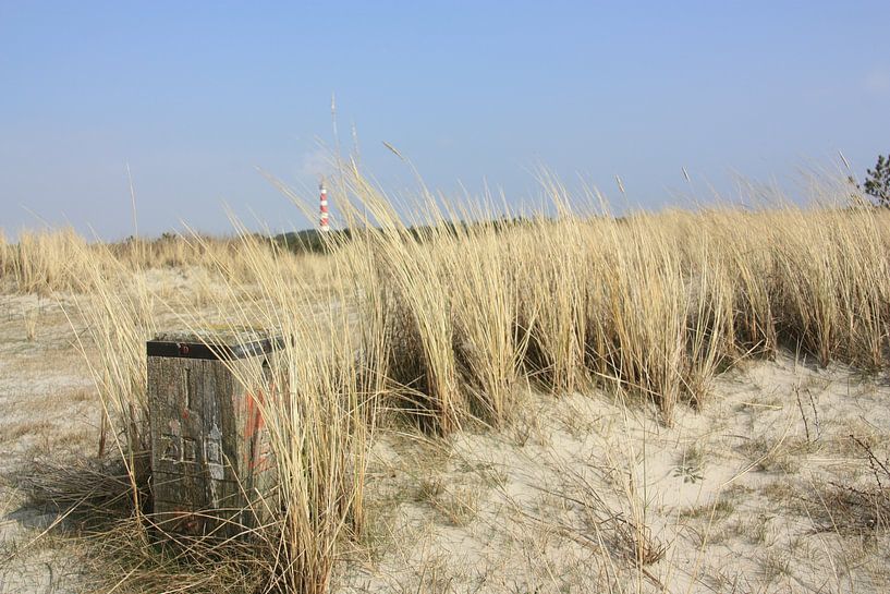 The Dunes by Wim Riksen