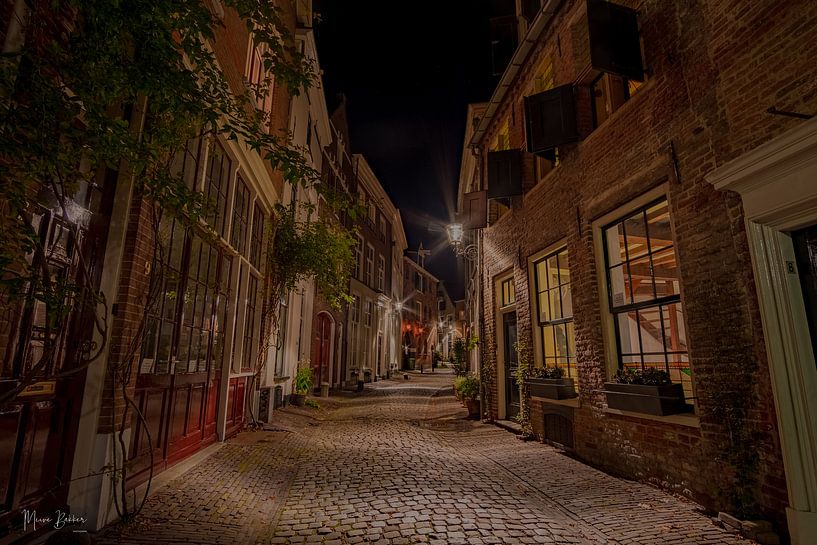 Mooi Deventer van Meine Bakker
