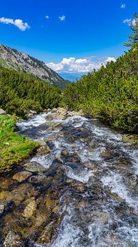Rivière dans les montagnes du Pirin en Bulgarie