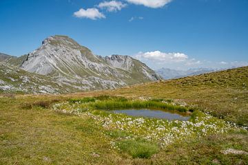 petite mare dans les Alpes de Davos et les Alpes suisses sur Leo Schindzielorz