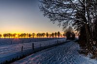 Sunset Winter