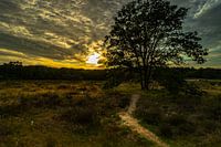 Zonsondergang Havelte