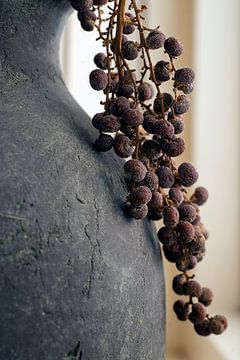 Minimalistisch stilleven van jeneverbes op grijze kruik van Humphry Jacobs