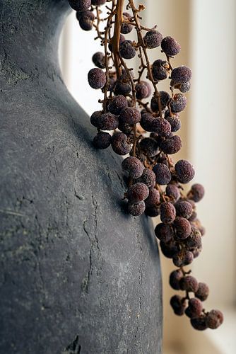 Stilleben von Wacholder auf grauem Krug