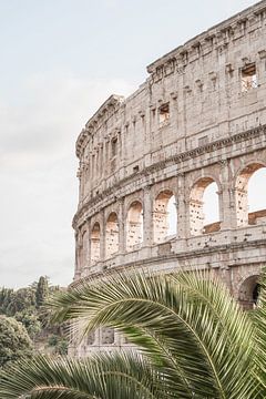 Das Kolosseum in Rom von Henrike Schenk