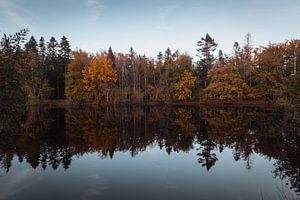 Reflet d'automne Waalwijk