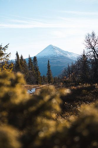 Snowy mountain peak atop forest in Norway