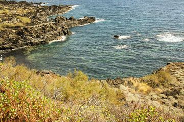 coast of la palma by Rick Van der bijl