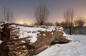 Kofferraum in der Nacht