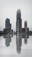 Rotterdam architecture on a misty day, Netherlands
