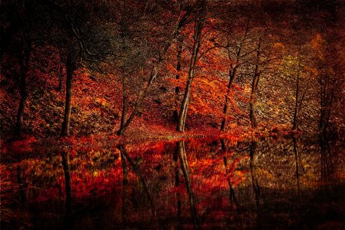 De herfst wordt weerspiegeld in het water.