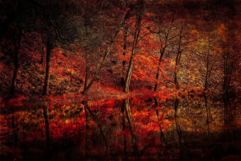 Der Herbst spiegelt sich im Wasser. von Karl Andrén
