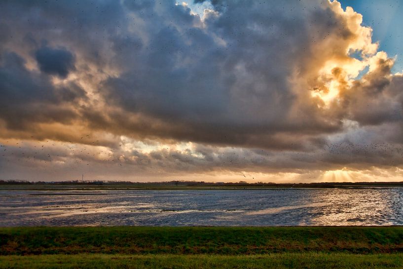 Donkere woken by Van Renselaar Fotografie