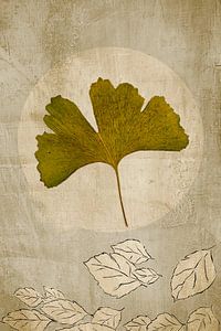 Ginkgo. Japandi. Grundlegend.