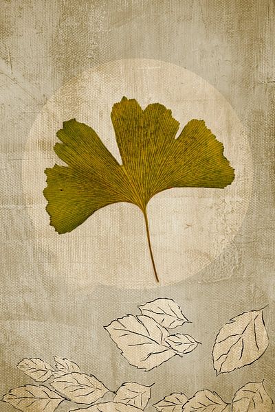 Ginkgo Botanische Prenten. 1 Japandi stijl Basic. van Alie Ekkelenkamp