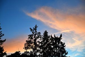Soirée d'été