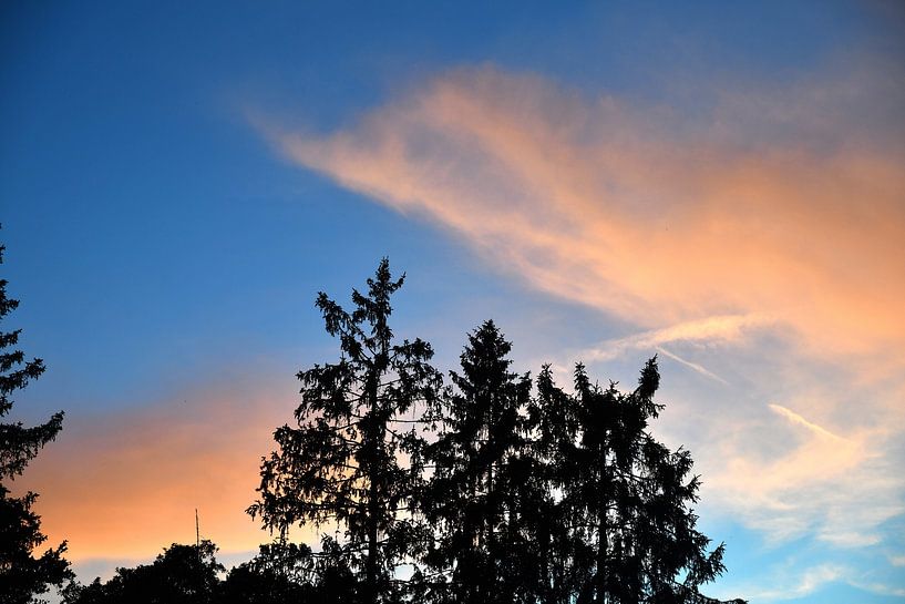 Sommerabend von Matthias Spartz