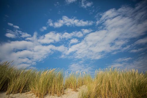 Duinen en Hollandse luchten