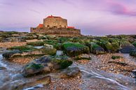 Fort Vauban d'Ambleteuse van Bart Hendrix thumbnail