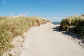 Duinweg sur Esther's Photos