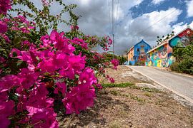Maisonnette graffiti à Curaçao sur Bfec.nl